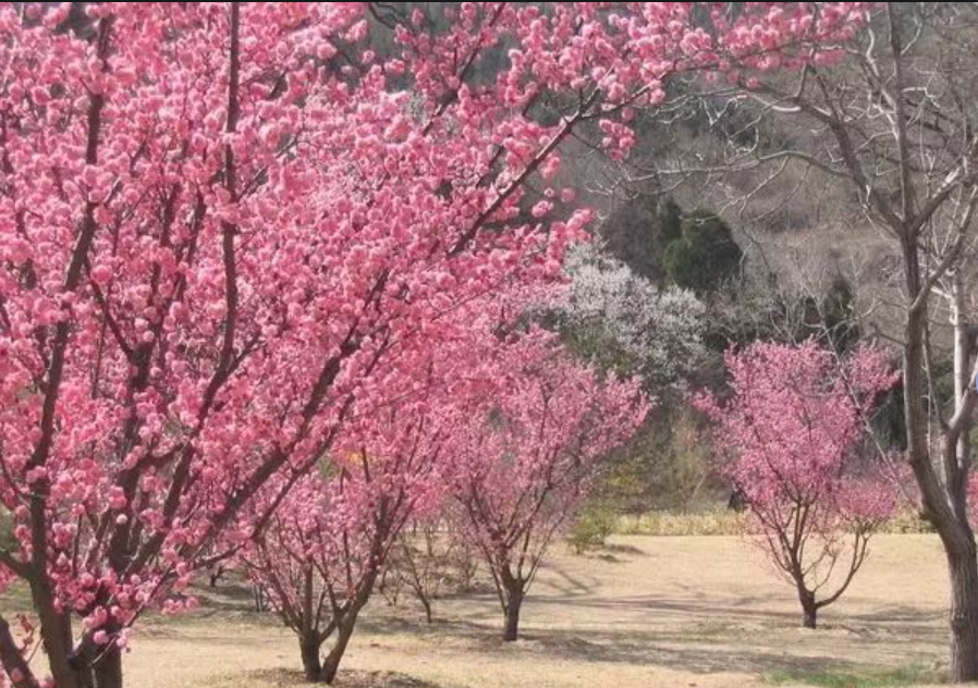 樱桃沟栈道